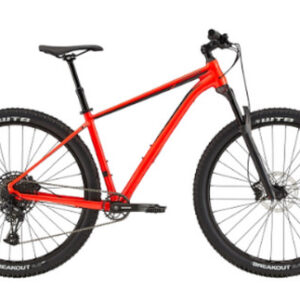 Trail 29 (2015-2021)
