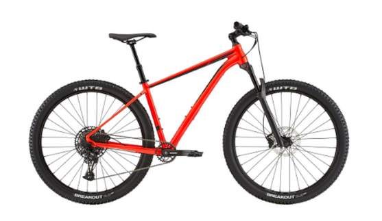 Trail 29 (2015-2021)